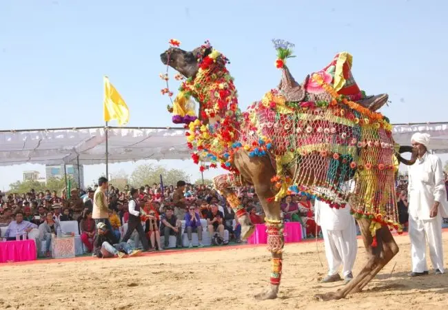 Rajasthan heritage tour